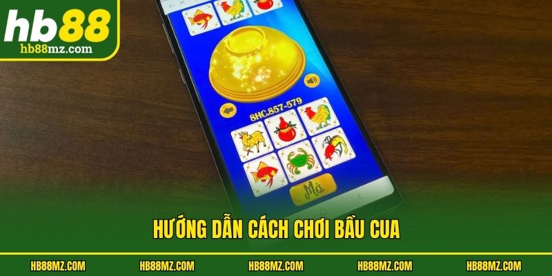 Hướng dẫn cách chơi bầu cua