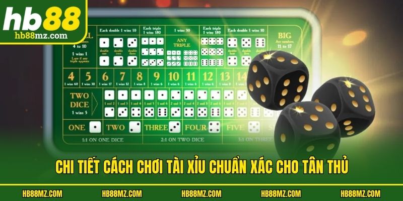 Chi tiết cách chơi tài xỉu chuẩn xác cho tân thủ