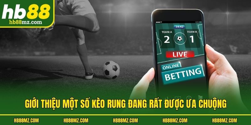 Giới thiệu một số kèo rung đang rất được ưa chuộng