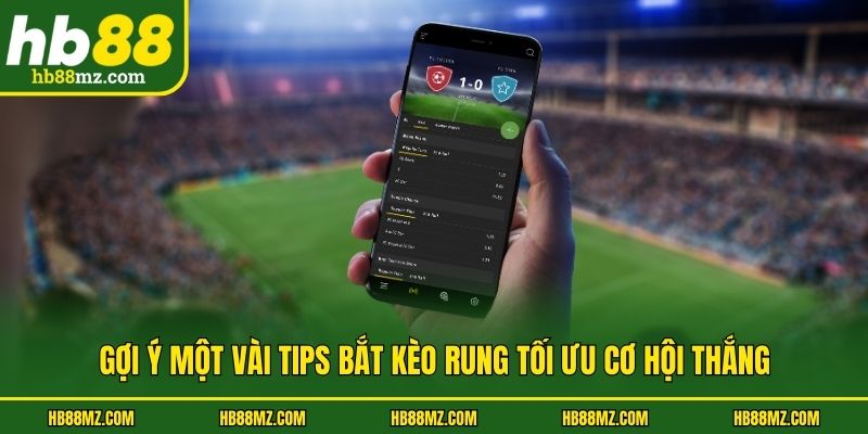 Gợi ý một vài tips bắt kèo rung tối ưu cơ hội thắng