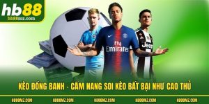 Kèo Đồng Banh - Cẩm Nang Soi Kèo Bất Bại Như Cao Thủ