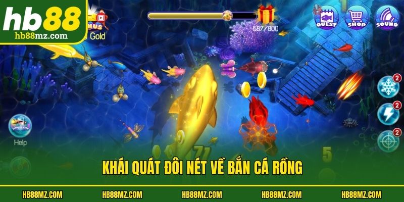 Khái quát đôi nét về bắn cá rồng