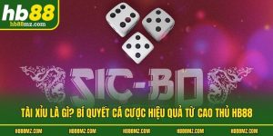 Tài Xỉu Là Gì? Bí Quyết Cá Cược Hiệu Quả Từ Cao Thủ HB88