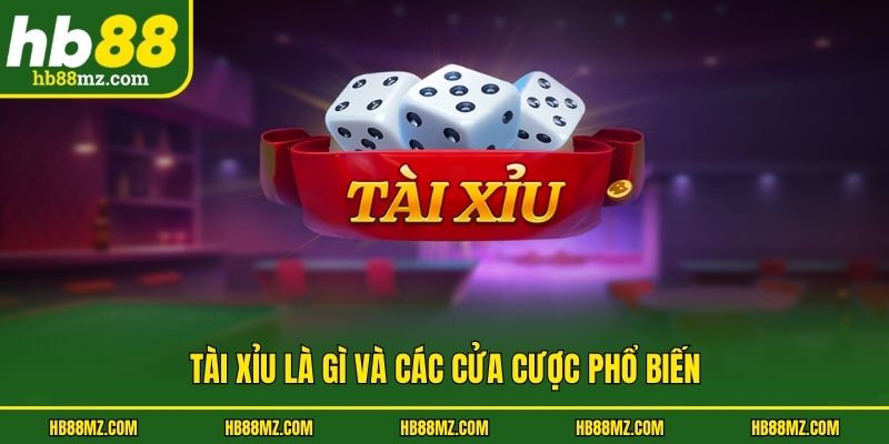 Tài xỉu là gì và các cửa cược phổ biến